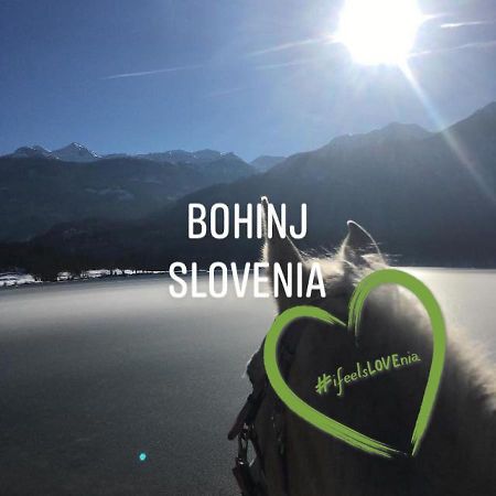 Ucni Ranc, Bohinj Apartment Екстериор снимка