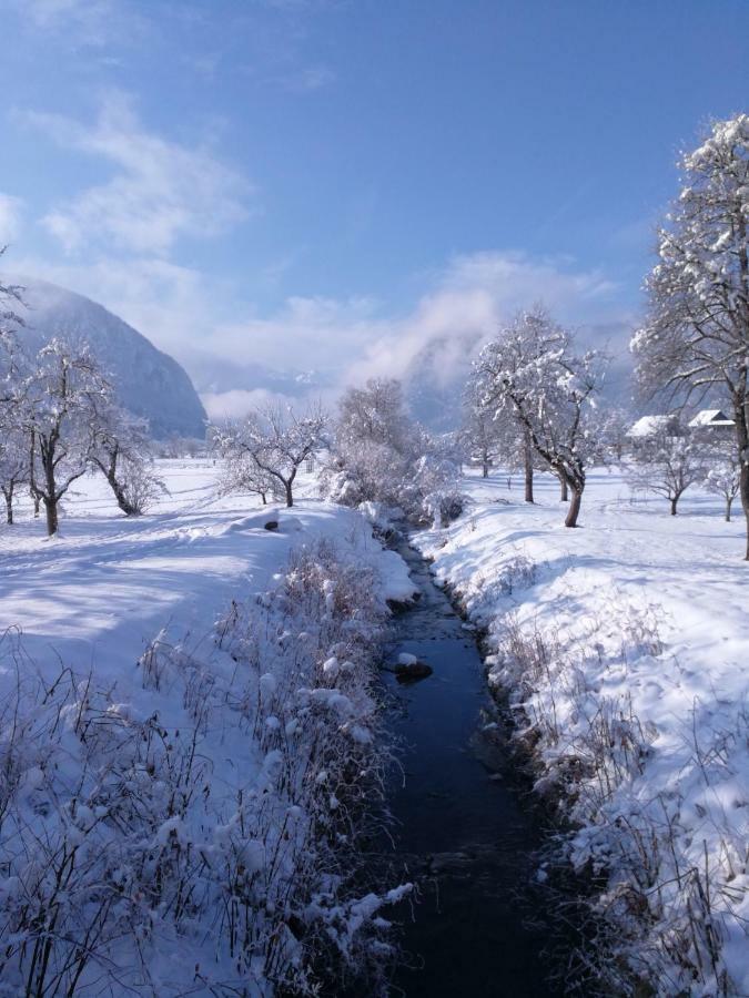 Ucni Ranc, Bohinj Apartment Екстериор снимка