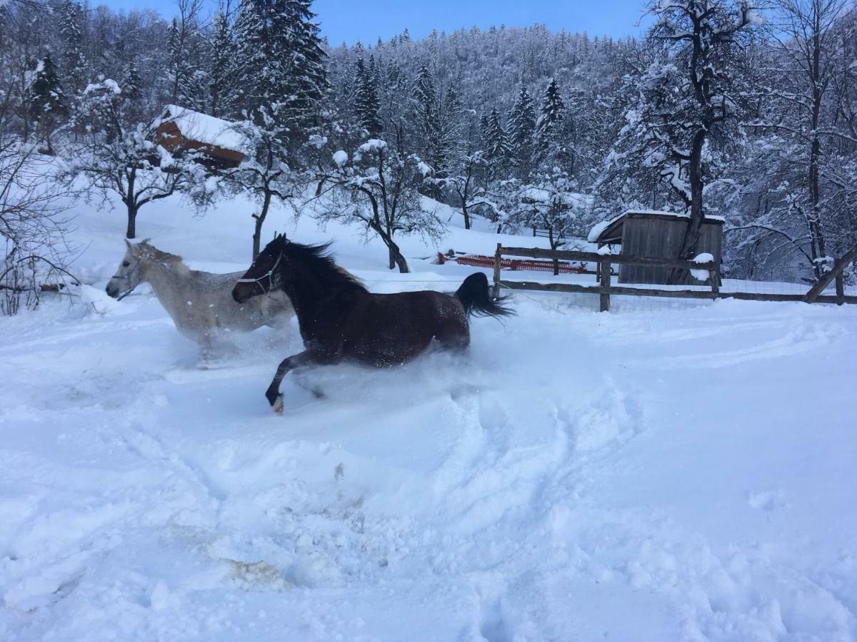 Ucni Ranc, Bohinj Apartment Екстериор снимка